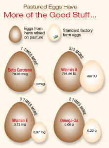 Pasture-Raised Eggs