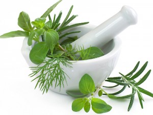 Paleo Herbs