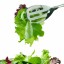 Paleo Diet Guide: Green Leafy Vegetables