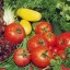 Paleo Diet Tips: What To Do With Too Much Produce